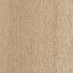 Scandic Beech Light | Wood panels | Pfleiderer