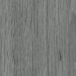 London Oak Silver | Wood panels | Pfleiderer