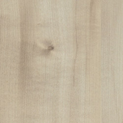 Agostino Maple | Wood panels | Pfleiderer