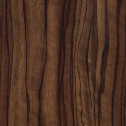 Spain Olive Dark | Wood panels | Pfleiderer