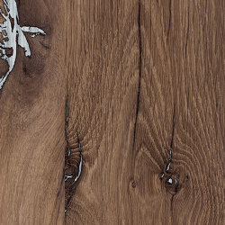 Nutmeg Bijoux Oak | Wood panels | Pfleiderer