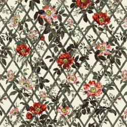 BRYHER ROSE Wallpaper - Cinnabar | Wall coverings / wallpapers | House of Hackney