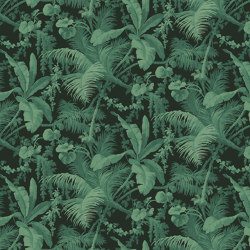 PAMPAS Wallpaper - Noir | Wall coverings / wallpapers | House of Hackney