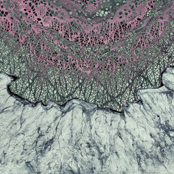 Breathing texture | Geode |  | Walls beyond