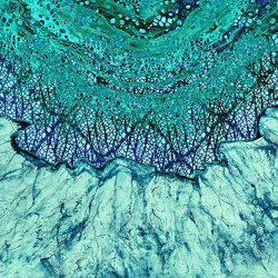 Breathing texture | Geode_turquoise | Material silk | Walls beyond