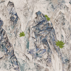 Breathing texture | Rare mountain flowers | Wall coverings / wallpapers | Walls beyond