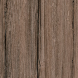 RESOPAL Woods | Delicious Oak | Wall laminates | Resopal