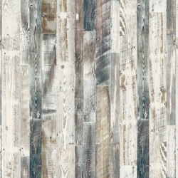 RESOPAL Woods | Pine Antique White | Wall laminates | Resopal