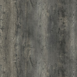 RESOPAL Woods | Senior Oak Grey | Wall laminates | Resopal