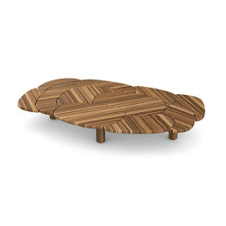 Etnawood Large Coffee Table