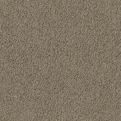 Gloss 7903 Auster | Colour brown | OBJECT CARPET