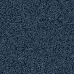 Gloss 7916 Blue Jay | Sound absorbing flooring systems | OBJECT CARPET