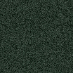 Gloss 7919 Liane | Sound absorbing flooring systems | OBJECT CARPET