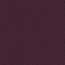 Highloop 7711 Blueberry | Sound absorbing flooring systems | OBJECT CARPET