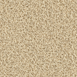 Loft 6555 Sable | Sound absorbing flooring systems | OBJECT CARPET