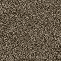 Maxime 6859 Camino | Sound absorbing flooring systems | OBJECT CARPET