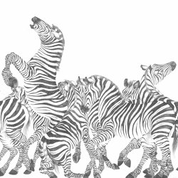 Zebre | 143_000 | Wall coverings / wallpapers | Taplab Wall Covering