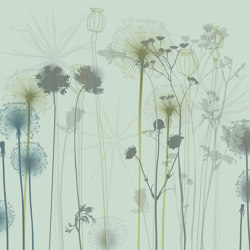 Dandelion | 111_001 | Wall coverings / wallpapers | Taplab Wall Covering
