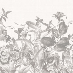 Herbarium | Wandbeläge / Tapeten | LONDONART
