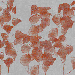 Diaphanus | Pattern plants / flowers | Wall&decò