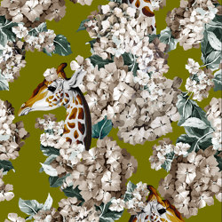 The Hortense Dream Oliva | Ceramic tiles | Officinarkitettura