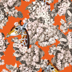The Hortense Dream Orange | Ceramic tiles | Officinarkitettura