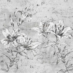 Lily | Wall coverings / wallpapers | WallPepper