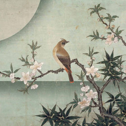 Bird on peach blossom | Carta parati / tappezzeria | WallPepper