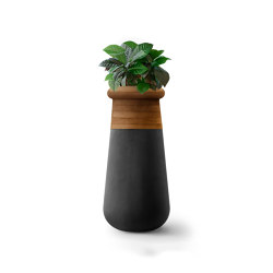 Soma Slim XS Wood Top | Plant pots | Indigenus