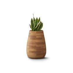Tuber XS Wood | Plant pots | Indigenus