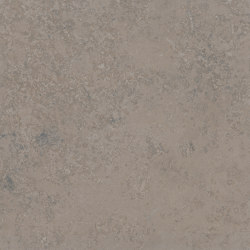 LIMESTONE grey 75x75 | Ceramic tiles | Ceramic District