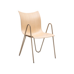 PEEL wood chair | with armrests | VANK