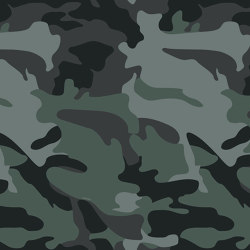 Camouflage | Wall coverings / wallpapers | LONDONART