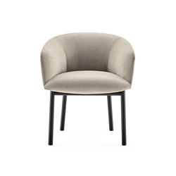 Livrette | Chairs | Gallotti&Radice