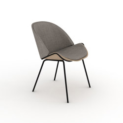 Dania Collection Chair | Chairs | Momocca
