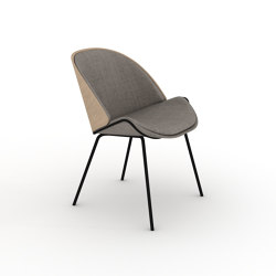 Dania Collection Chair |  | Momocca