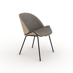Dania Collection Chair |  | Momocca