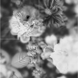 Blossom Black&White - Decor Slabs 60x120 (4 pcs. set)