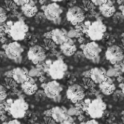 Tapete Blossom Black&White | Wall coverings / wallpapers | Devon&Devon