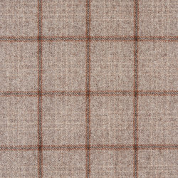 Benu Check 817 | Drapery fabrics | Christian Fischbacher