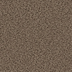 Eddy 2155 Taupe | Rugs | OBJECT CARPET