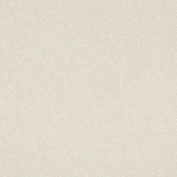Linearis | Reflex Ivory 4091 | Concrete tiles | Eternit