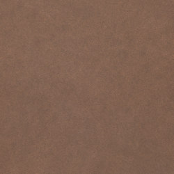 Clinar Clip | Terra Amber 753 | Concrete tiles | Swisspearl Schweiz AG
