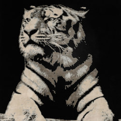The Tiger | Rugs | D.S.V. CARPETS