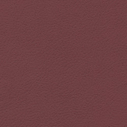 Brisa | Beet Root | Upholstery fabrics | Ultrafabrics