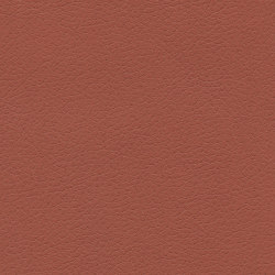 Brisa | Cinnabar | Effect leather | Ultrafabrics
