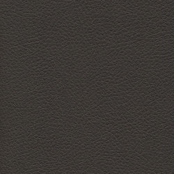 Brisa | Coffee Bean | Upholstery fabrics | Ultrafabrics