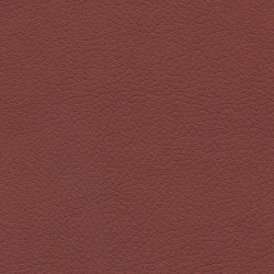Brisa | Salsa | Effect leather | Ultrafabrics