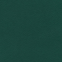 Brisa | Seaweed | Upholstery fabrics | Ultrafabrics