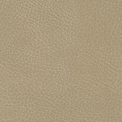 Brisa Distressed | Desert Tan | Upholstery fabrics | Ultrafabrics